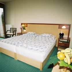 Gunaras – Hotel Europa***